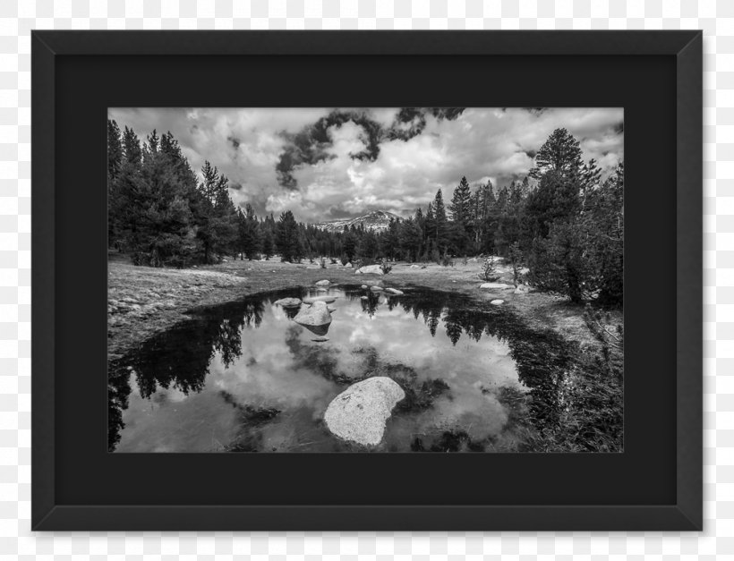 Matte Picture Frames Photography Framebridge, PNG, 1000x765px, Mat, Art, Artwork, Black And White, Film Frame Download Free