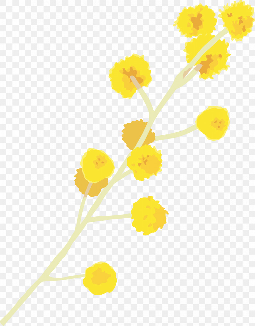Yellow Flower Plant Pedicel Cut Flowers, PNG, 2342x3000px, Yellow, Cut Flowers, Flower, Pedicel, Plant Download Free