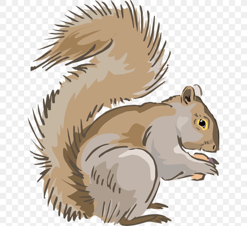 Eastern Gray Squirrel Chipmunk Clip Art, PNG, 636x750px, Squirrel, Beak, Bird, Carnivoran, Cartoon Download Free