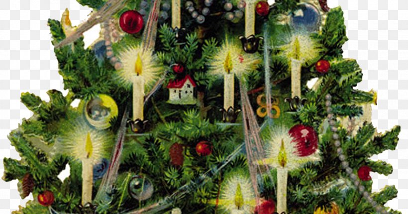 Santa Claus A Christmas Carol Ebenezer Scrooge Christmas Tree, PNG, 1200x630px, Santa Claus, Artificial Christmas Tree, Christmas, Christmas Card, Christmas Carol Download Free