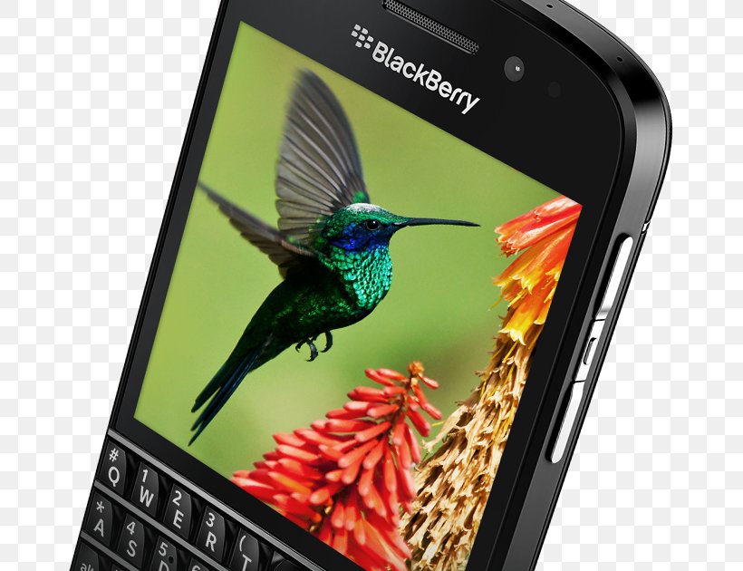 Smartphone BlackBerry Q10 BlackBerry Z10 BlackBerry Leap BlackBerry Curve, PNG, 667x630px, Smartphone, Bird, Blackberry, Blackberry 10, Blackberry Curve Download Free