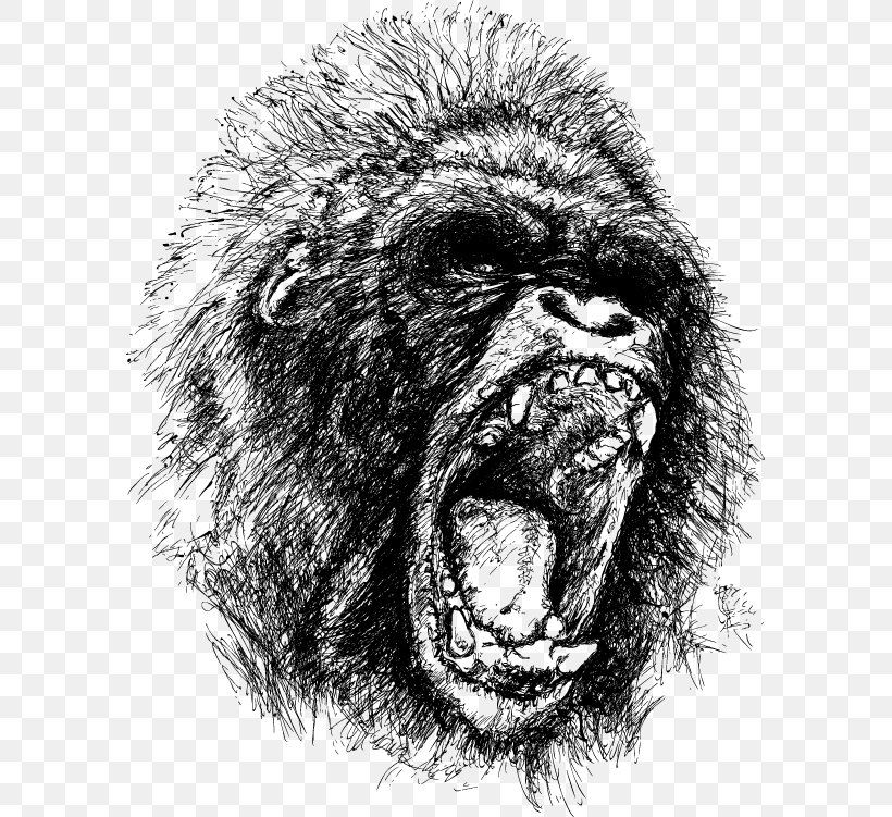 Gorilla Ape King Kong Drawing Anger, PNG, 587x751px, Gorilla, Anger, Ape, Black And White, Chimpanzee Download Free