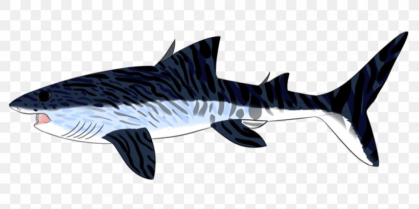 Helicoprion Tiger Shark Digital Art Phosphoria Formation, PNG, 1100x551px, Helicoprion, Animal, Animal Figure, Art, Cartilaginous Fish Download Free