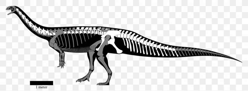 Yunnanosaurus Dinosaur Puertasaurus Dreadnoughtus Sinosaurus, PNG, 1475x542px, Yunnanosaurus, Aalenian, Animal Figure, Argentinosaurus, Bajocian Download Free