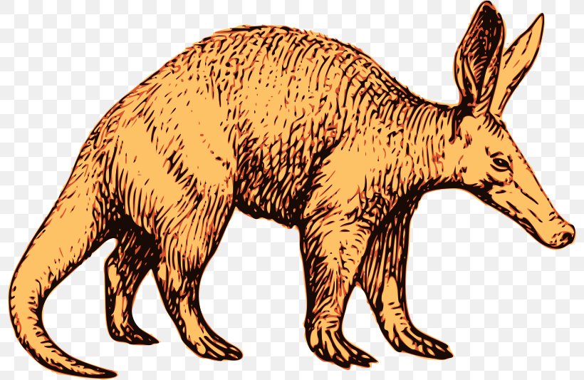 Aardvark Anteater Clip Art, PNG, 800x533px, Aardvark, Animal Figure, Anteater, Carnivoran, Dog Like Mammal Download Free