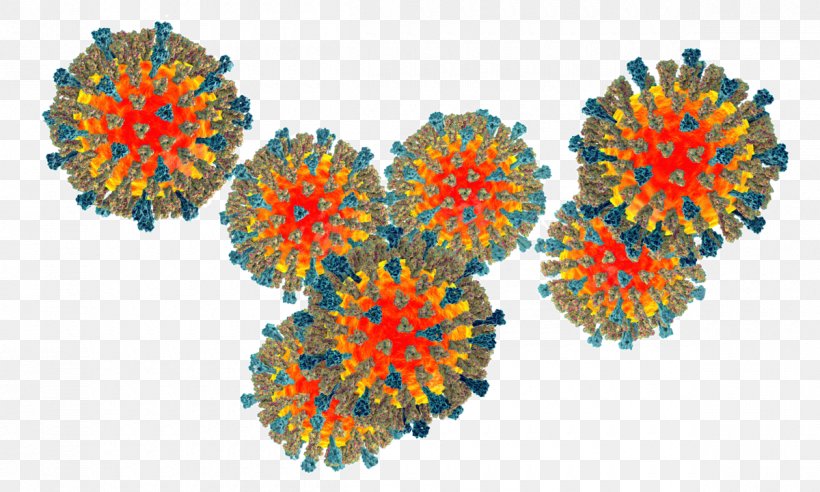 Measles Virus Human Parainfluenza Viruses, PNG, 1200x720px, Measles Virus, Hemagglutinin, Human Parainfluenza Viruses, Infection, Influenza Download Free