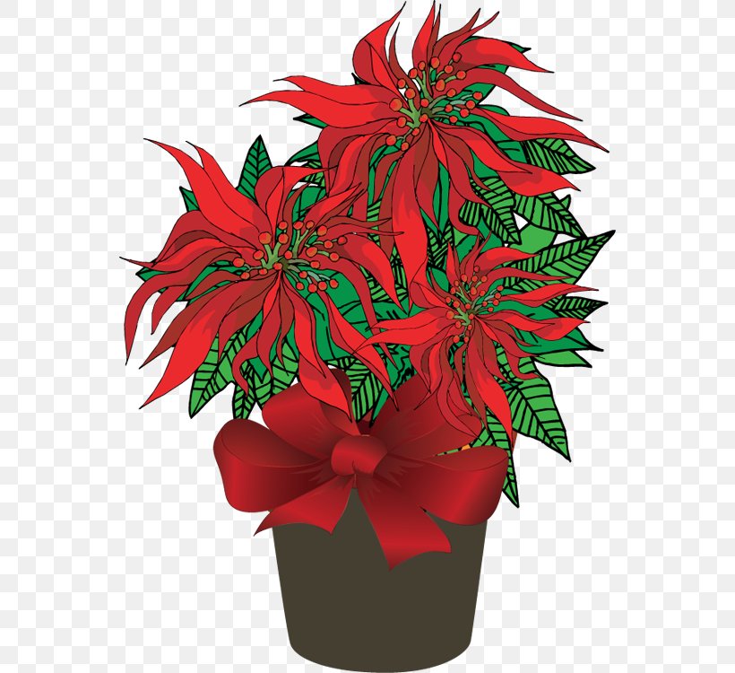 Poinsettia Plant Christmas Clip Art, PNG, 554x750px, Poinsettia, Blog, Christmas, Cut Flowers, Floral Design Download Free
