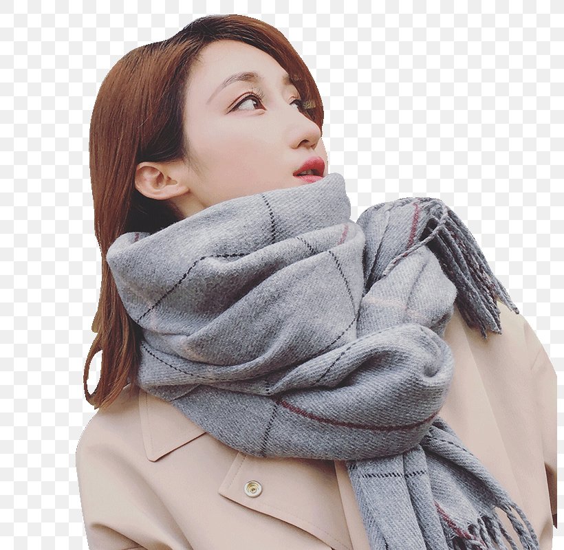 Scarf Shawls And Scarves Clothing Fashion, PNG, 800x800px, Scarf, Autumn, Cashmere Wool, Clothing, Clothing Accessories Download Free