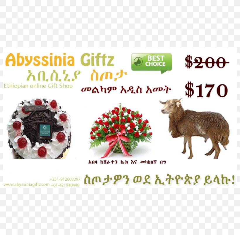 Addis Ababa Sheep Christmas Ornament Medium, PNG, 800x800px, Addis Ababa, Animal, Cake, Christmas, Christmas Decoration Download Free