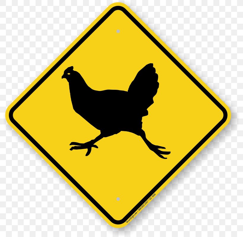 Australia Traffic Sign Warning Sign Road, PNG, 800x800px, Australia, Area, Beak, Bird, Chicken Download Free