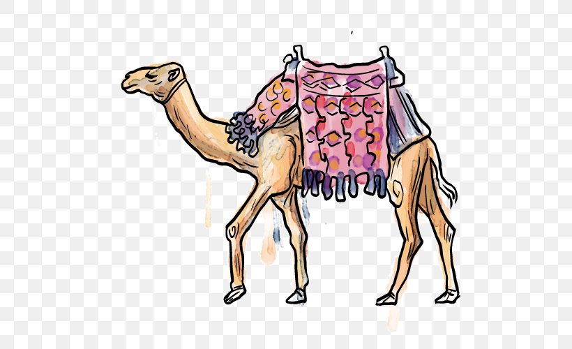 Camel Cartoon, PNG, 500x500px, Camel, Arabian Camel, Art, Camel Like Mammal, Cartoon Download Free
