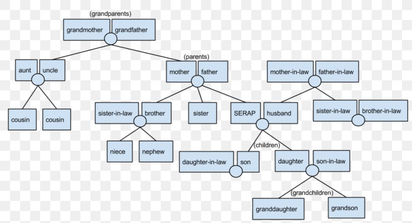 Family Tree Homework Knowledge Learning, PNG, 1024x555px, Family Tree, Area, Class, Diagram, Engineering Download Free