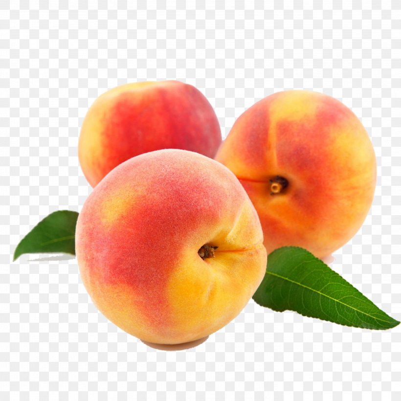 Peach Stock Photography Fruit, PNG, 2953x2953px, Peach, Apple, Apricot, Art, Can Stock Photo Download Free
