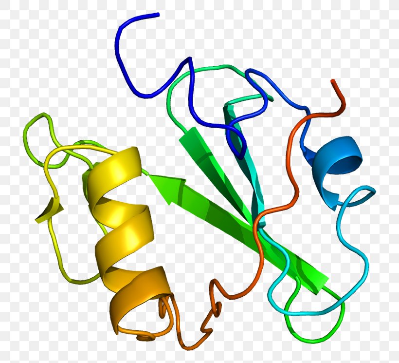 Signal Transducing Adaptor Protein SH2 Domain SHCBP1 Protein–protein Interaction, PNG, 778x745px, Watercolor, Cartoon, Flower, Frame, Heart Download Free