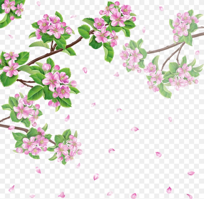 Spring Flower Cherry Blossom, PNG, 833x815px, Spring, Blossom, Branch, Cherry Blossom, Flora Download Free