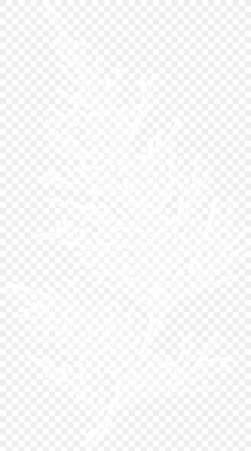 White Black Angle Area Pattern, PNG, 1001x1800px, White, Area, Black, Black And White, Monochrome Download Free