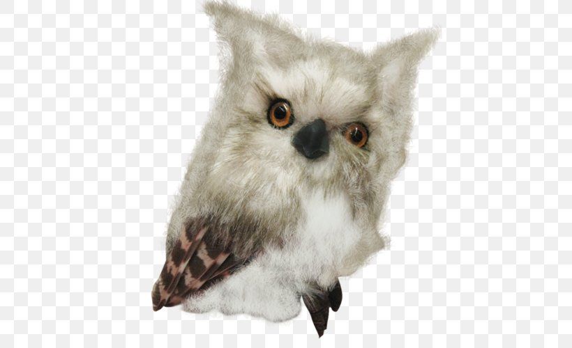 Owl Bird Sovunya Clip Art, PNG, 500x500px, Owl, Animal, Beak, Bird, Bird Of Prey Download Free