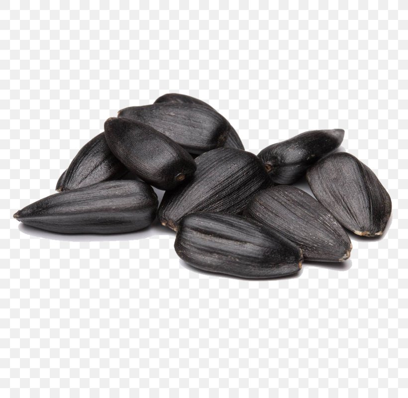 Common Sunflower Sunflower Seed Kuaci, PNG, 800x800px, Common Sunflower, Black, Black And White, Gratis, Kuaci Download Free