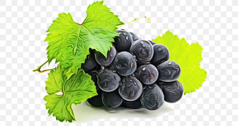 Flower Leaves, PNG, 700x437px, Grape, Berry, Bilberry, Blueberry, Currant Download Free