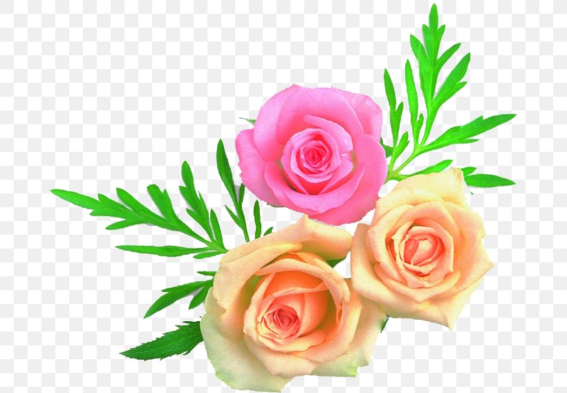 Garden Roses Cabbage Rose Floral Design Cut Flowers Flower Bouquet, PNG, 677x569px, Garden Roses, Cabbage Rose, Cut Flowers, Floral Design, Floristry Download Free