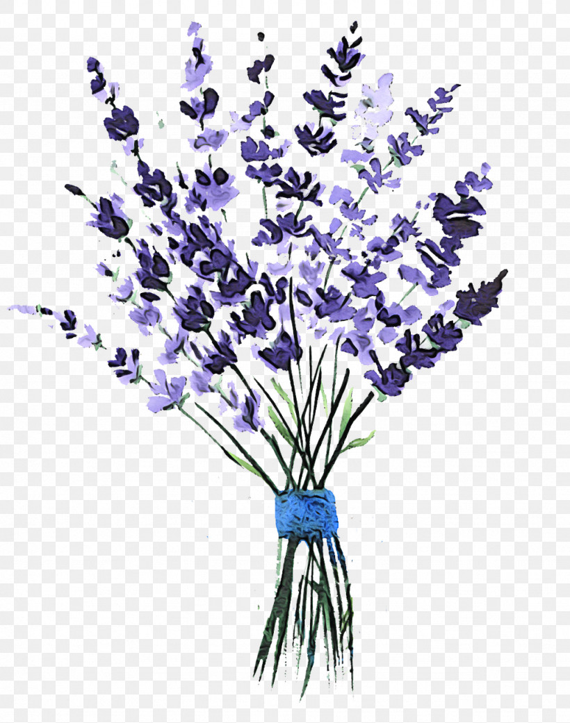 Lavender, PNG, 1024x1300px, Flower, Bouquet, Cut Flowers, English Lavender, Lavender Download Free