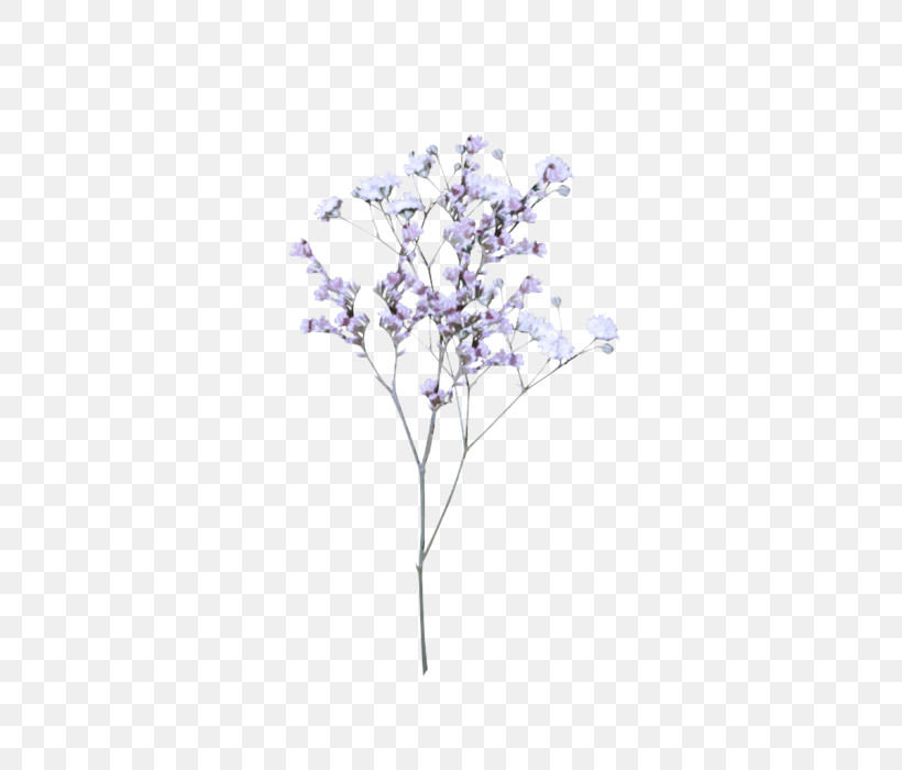 Tree Lilac Branch Plant Leaf, PNG, 700x700px, Tree, Branch, Flower, Leaf, Lilac Download Free
