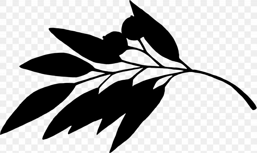 Clip Art Leaf Plant Stem Silhouette Flowering Plant, PNG, 4117x2450px, Leaf, Blackandwhite, Botany, Branch, Branching Download Free