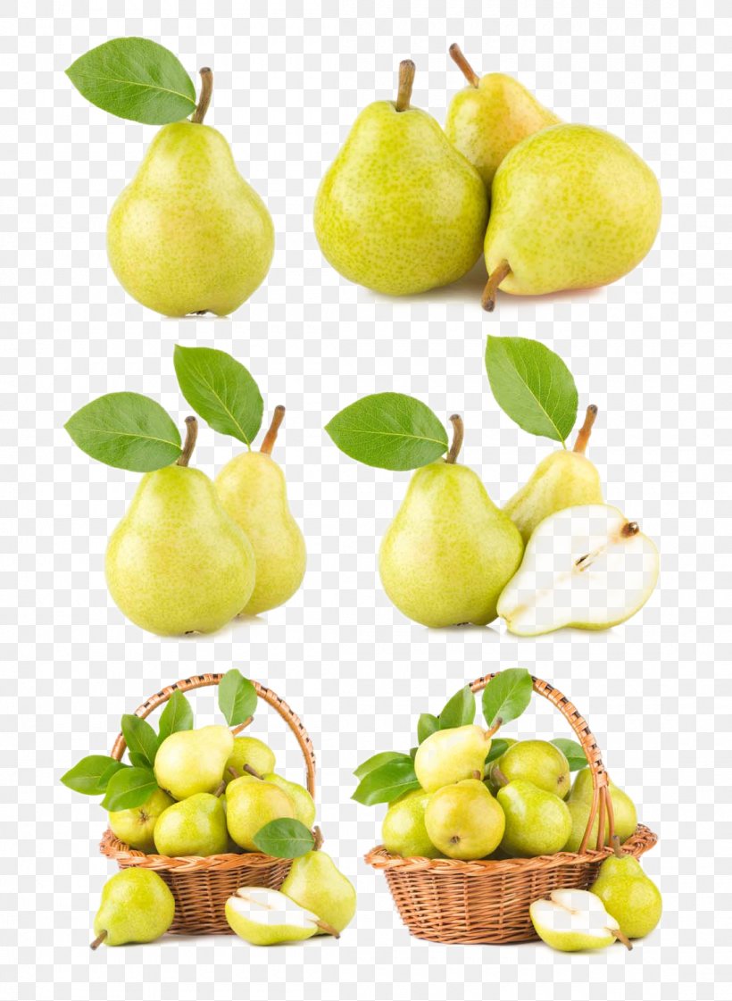 Pyrus Nivalis Lime Apple Lemon, PNG, 1100x1504px, Pyrus Nivalis, Apple, Auglis, Citron, Citrus Download Free