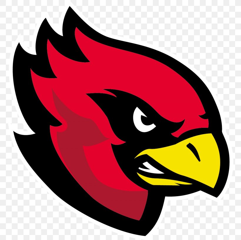 Assindia Cardinals Sportpark Am Hallo Arizona Cardinals Bielefeld Bulldogs American Football, PNG, 768x817px, Assindia Cardinals, American Football, American Football Conference, Arizona Cardinals, Beak Download Free