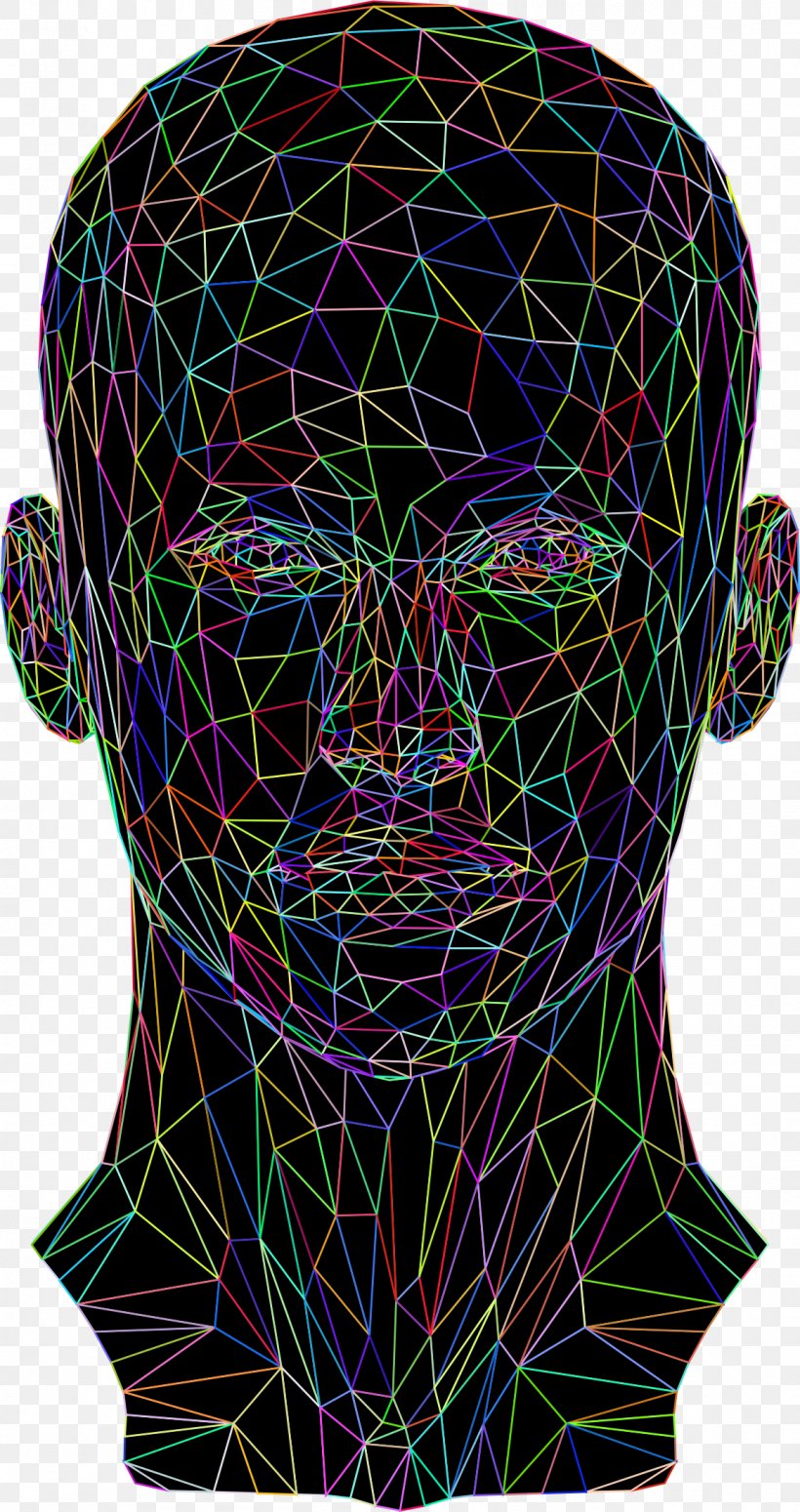 Head Website Wireframe Wiring Diagram Low Poly, PNG, 1158x2190px, Head, Diagram, Face, Low Poly, Organism Download Free