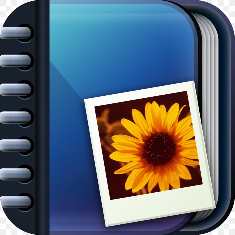 Photo Albums Photography Download, PNG, 1024x1024px, Watercolor, Cartoon, Flower, Frame, Heart Download Free