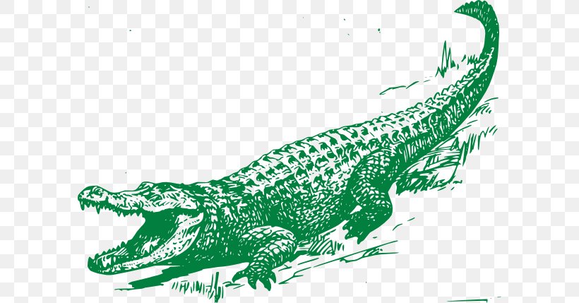 Alligator Crocodile Drawing Clip Art, PNG, 600x429px, Alligator, Art, Cartoon, Crocodile, Crocodile Clip Download Free