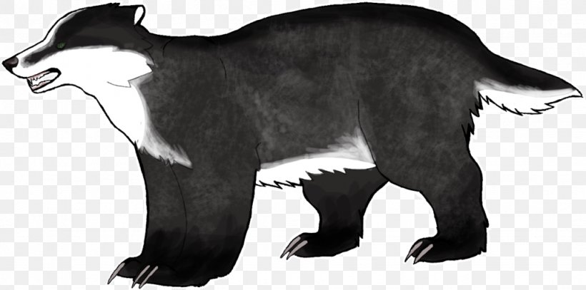 Cat Gray Wolf Fur Drawing Character, PNG, 1024x509px, Cat, Bear, Black And White, Carnivoran, Cat Like Mammal Download Free