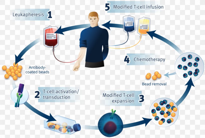 Chimeric Antigen Receptor T Cell Tisagenlecleucel Therapy CD19 Molecule, PNG, 967x653px, Chimeric Antigen Receptor, Antigen, Brand, Cancer, Cd19 Molecule Download Free