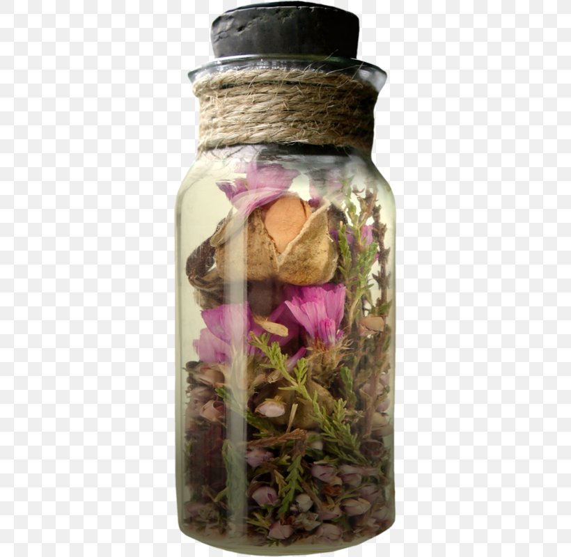 Bottle Pressed Flower Craft Glass, PNG, 322x800px, Bottle, Cased Glass, Designer, Floral Design, Flower Download Free