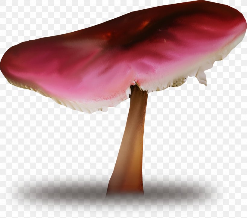 Common Mushroom Edible Mushroom Fungus Shiitake, PNG, 1600x1413px, Common Mushroom, Agaricus, Agaricus Campestris, Edible Mushroom, Femmes Download Free