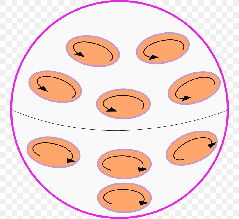 Earth's Magnetic Field Dynamo Theory, PNG, 750x750px, Earth, Alpha Omega, Area, Astrophysics, Cheek Download Free