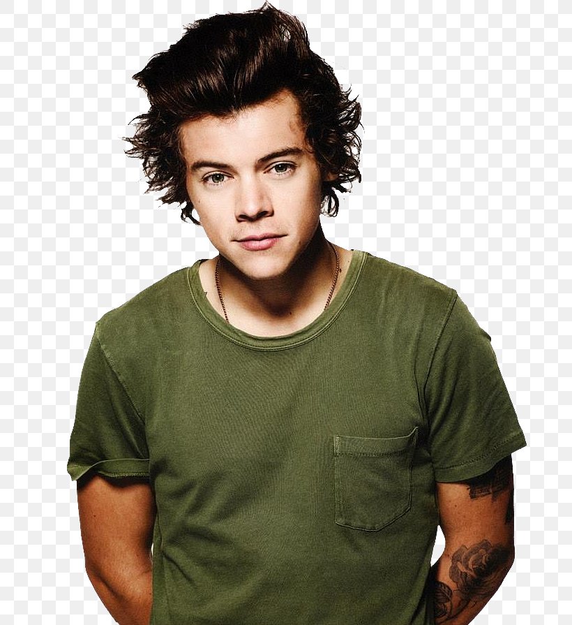 Harry Styles One Direction Four Love Png 733x895px Watercolor