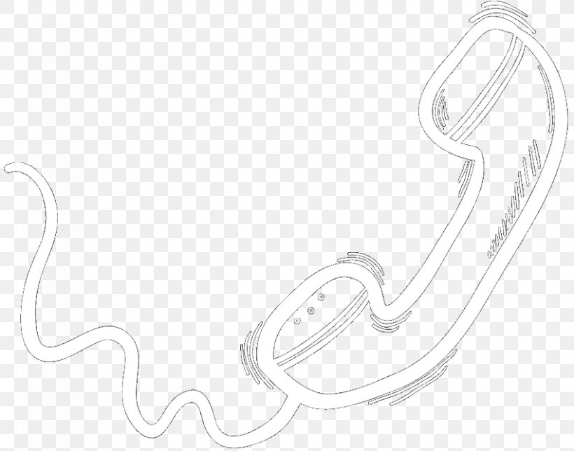 Line Art Drawing /m/02csf Product Black & White, PNG, 851x669px, Line Art, Animal, Art, Black White M, Cartoon Download Free