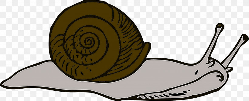 Snails And Slugs Snail Sea Snail Lymnaeidae Slug, PNG, 3333x1361px, Snails And Slugs, Lymnaeidae, Sea Snail, Slug, Snail Download Free