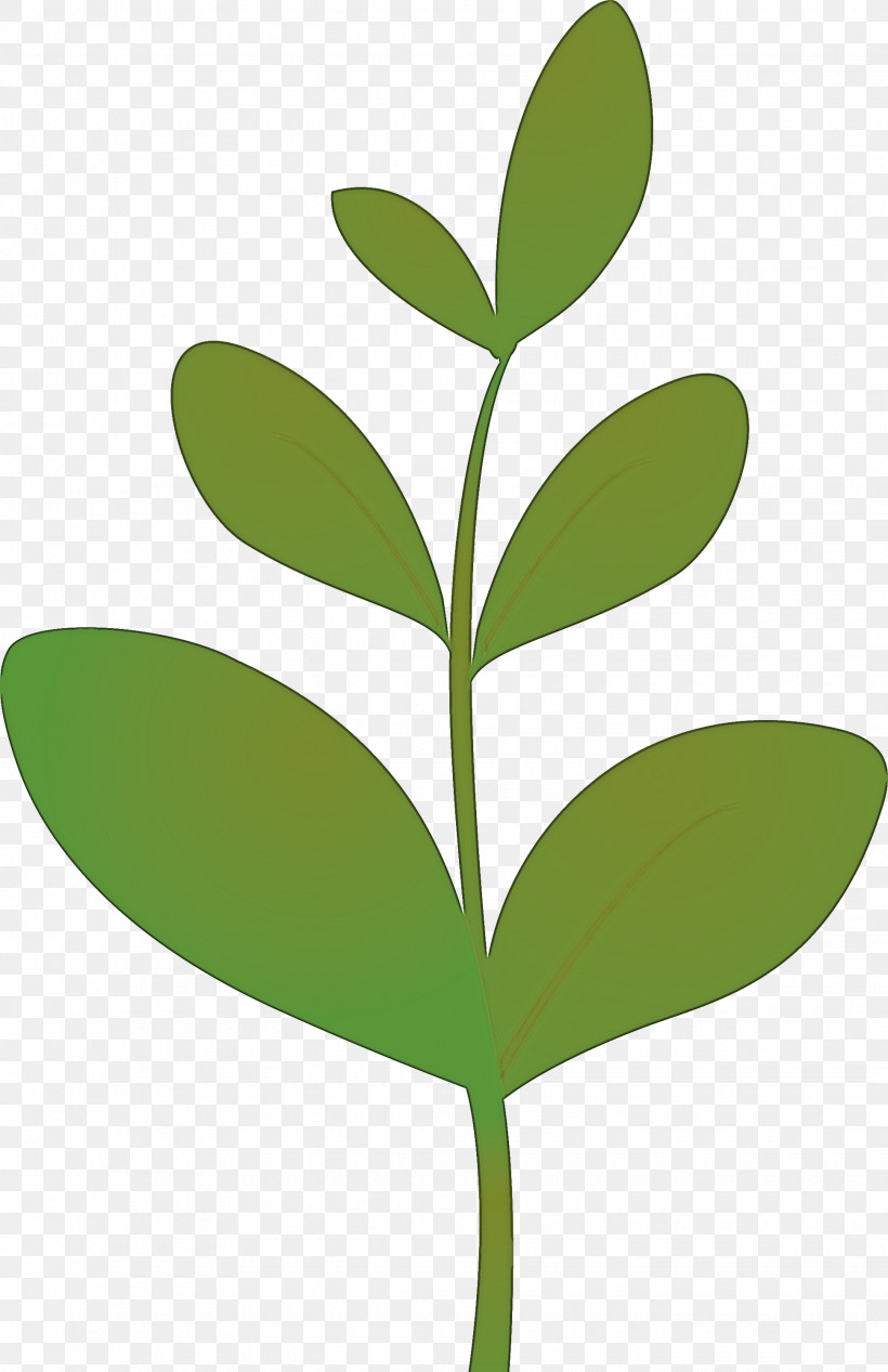 Sprout Bud Seed, PNG, 1940x2999px, Sprout, Bud, Eucalyptus, Flower, Flush Download Free