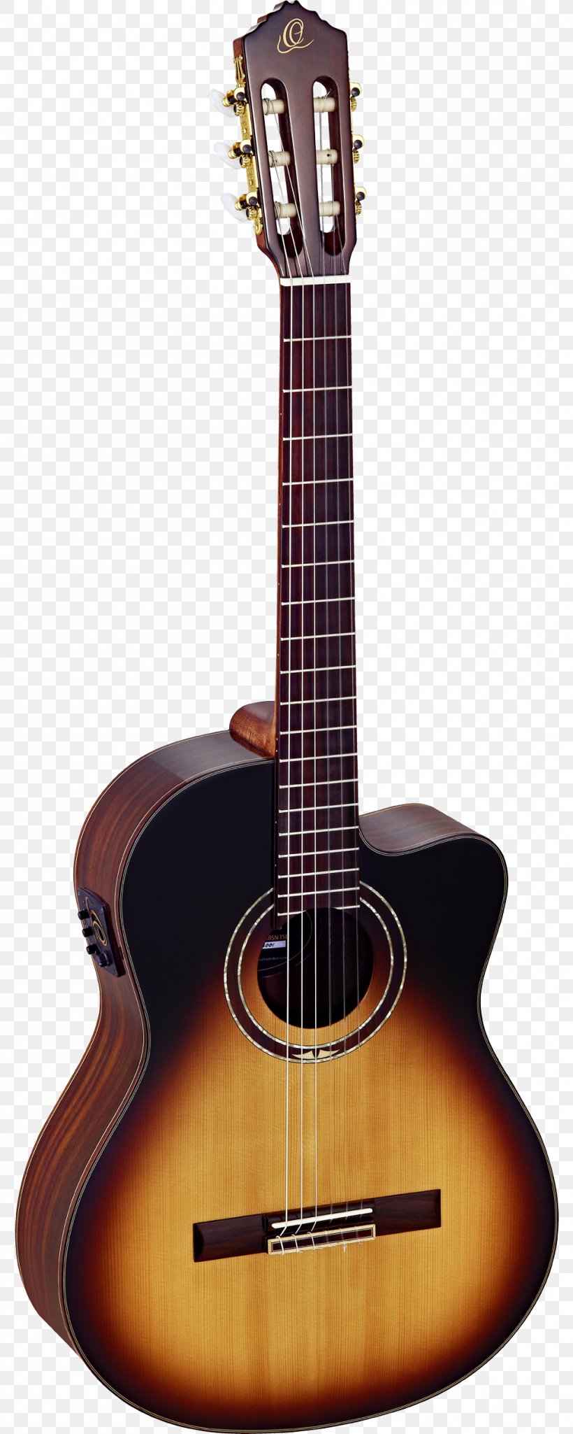 Twelve-string Guitar Classical Guitar Steel-string Acoustic Guitar, PNG, 1000x2500px, Watercolor, Cartoon, Flower, Frame, Heart Download Free