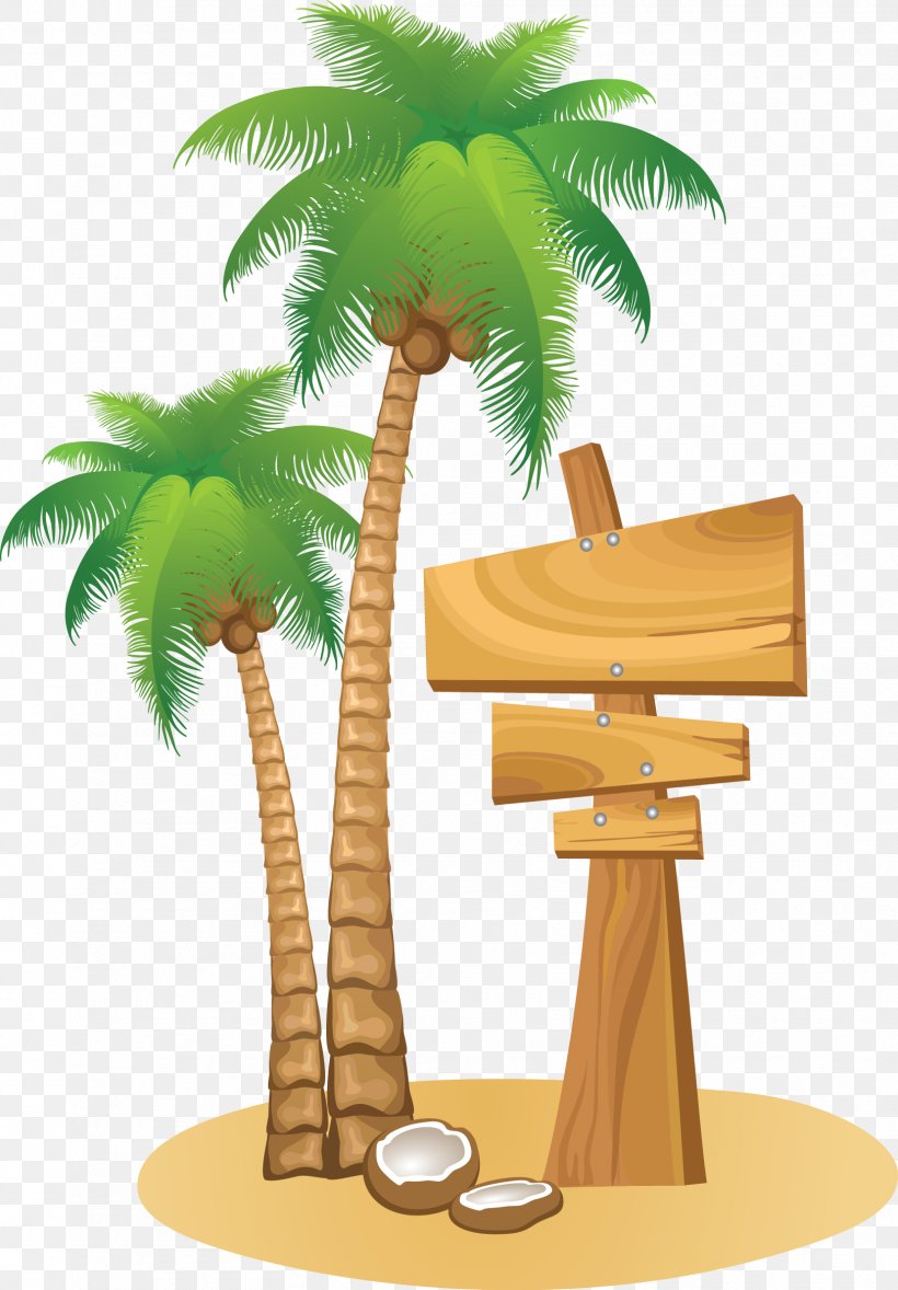 Arecaceae Drawing Clip Art, PNG, 1621x2329px, Arecaceae, Arecales, Asian Palmyra Palm, Coconut, Date Palm Download Free