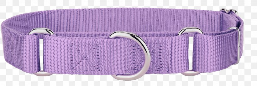 Dog Collar Martingale Leash, PNG, 1600x537px, Dog, Bag, Blue, Collar, Color Download Free