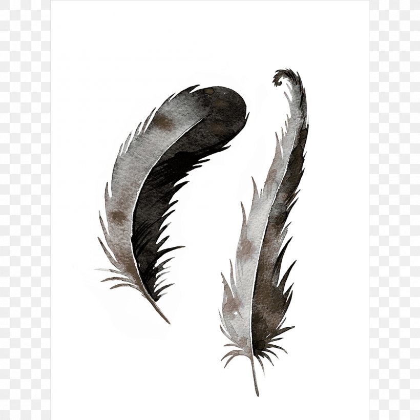 Feather Printing Color, PNG, 1000x1000px, Feather, Color, Printing, Quill, Wing Download Free