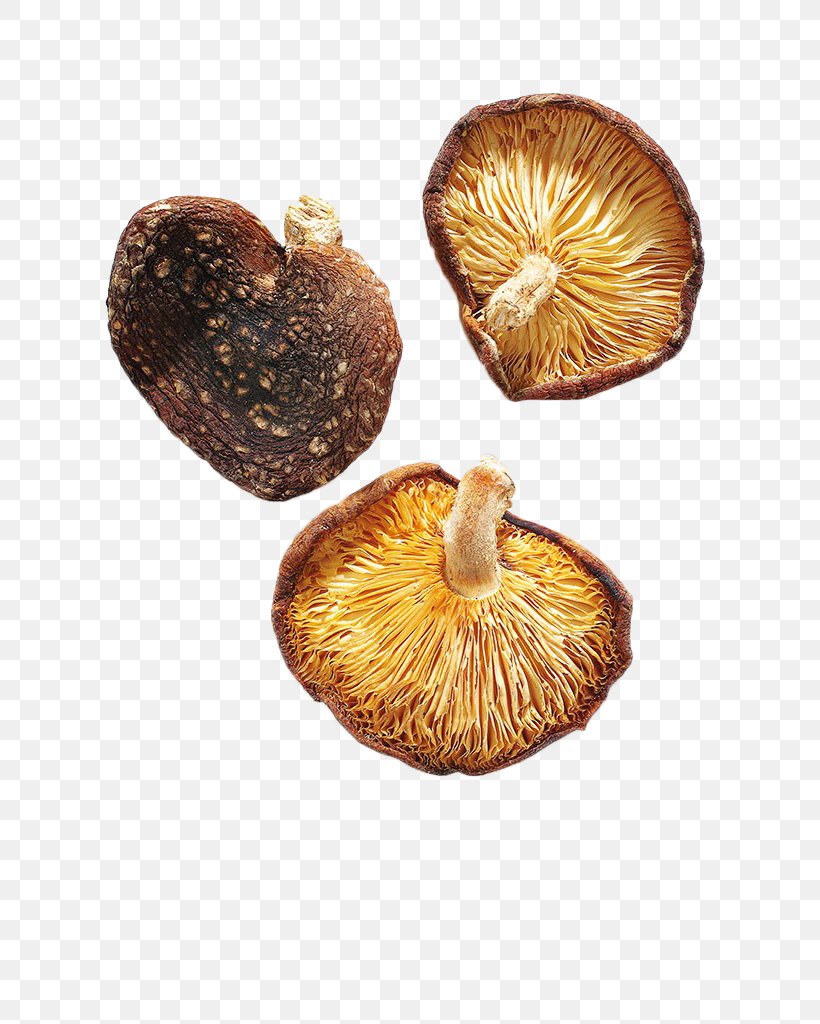 Shiitake Edible Mushroom, PNG, 698x1024px, Shiitake, Drying, Edible Mushroom, Food Drying, Grzyby Suszone Download Free