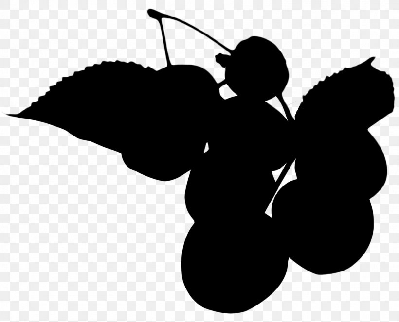 Grape Character Clip Art Silhouette Leaf, PNG, 1509x1221px, Grape, Black M, Blackandwhite, Branching, Character Download Free