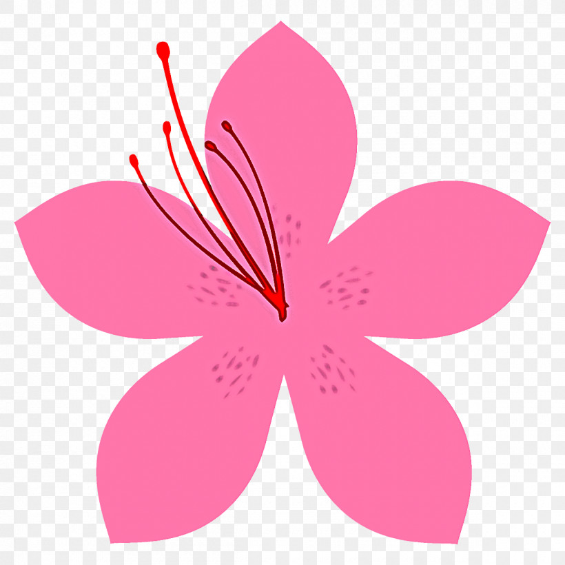 Petal Pink Flower Plant Hibiscus, PNG, 1200x1200px, Petal, Flower, Hibiscus, Pedicel, Pink Download Free