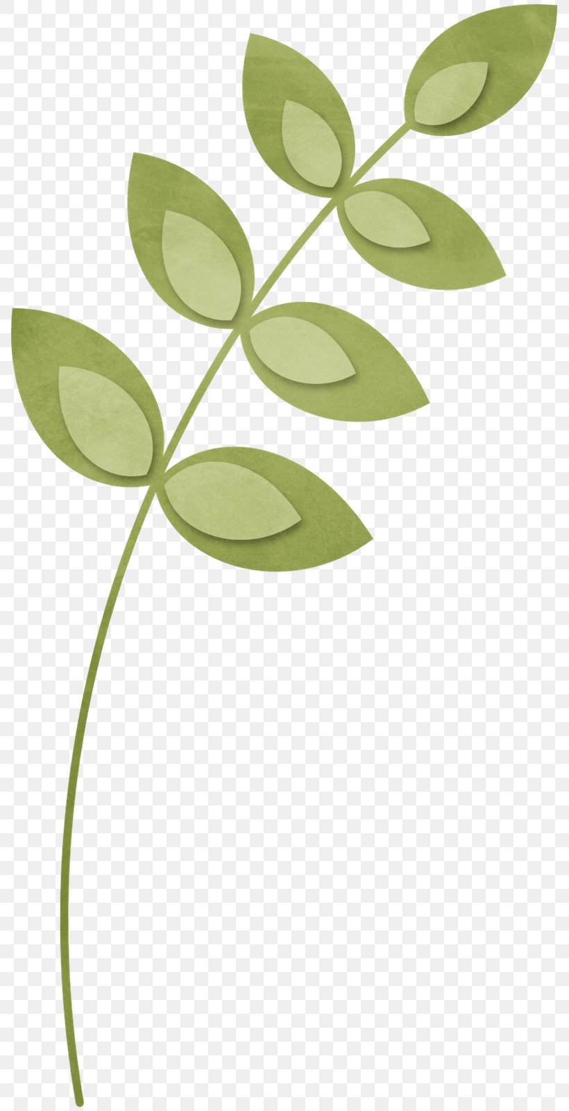 Scrapbooking Plant Stem Branch, PNG, 799x1600px, Scrapbooking, Branch, Credit, Flora, Flower Download Free