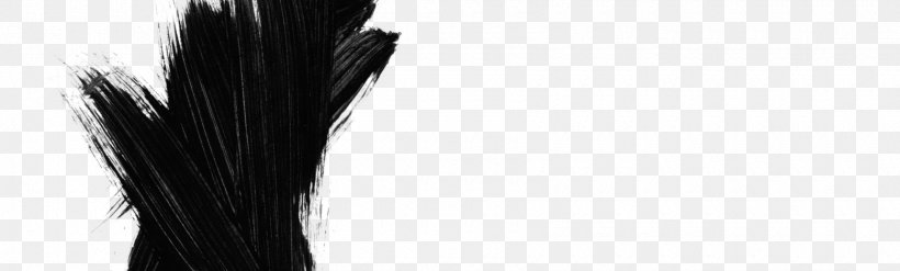 Brush Hair 02PD, PNG, 1720x520px, Brush, Black, Black And White, Black M, Hair Download Free